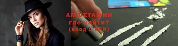ГАЛЛЮЦИНОГЕННЫЕ ГРИБЫ Горно-Алтайск