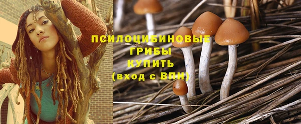 Альфа ПВП Горнозаводск