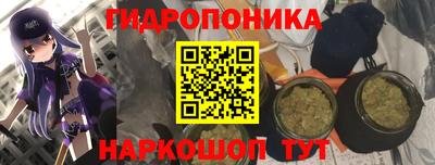 спиды Ипатово
