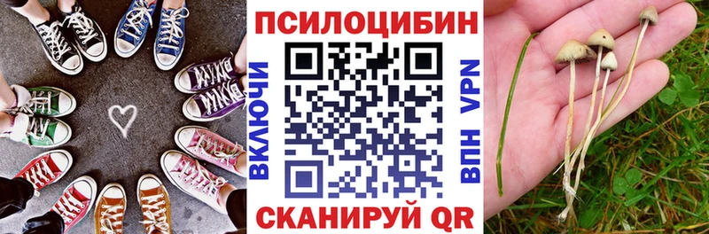 Галлюциногенные грибы мицелий Можайск