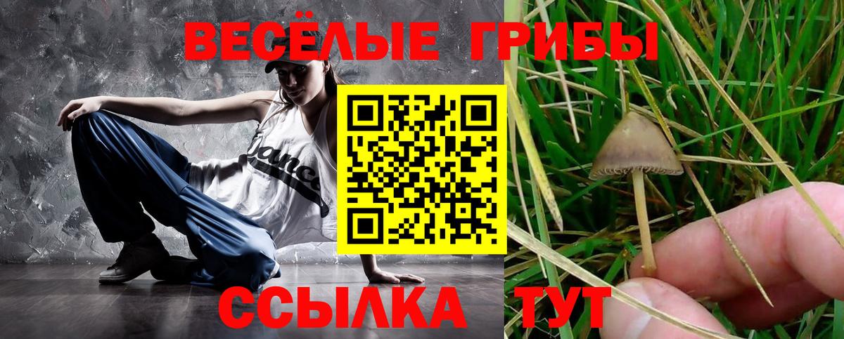 Псилоцибиновые грибы мухоморы Можайск