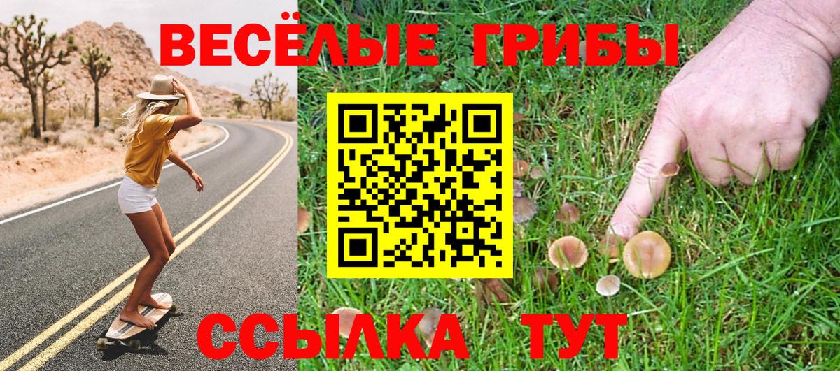 Псилоцибиновые грибы Magic Shrooms  где купить наркоту  Можайск  Псилоцибиновые грибы MAGIC MUSHROOMS 