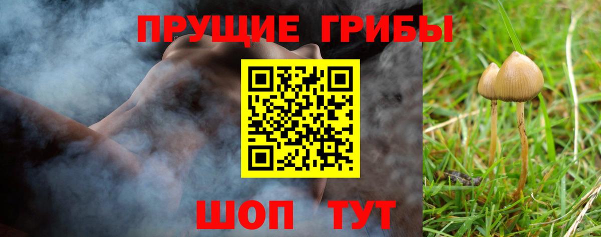 Можайск  Галлюциногенные грибы ЛСД  цены наркотик  Вход с VPN  Псилоцибиновые грибы Psilocybine cubensis 